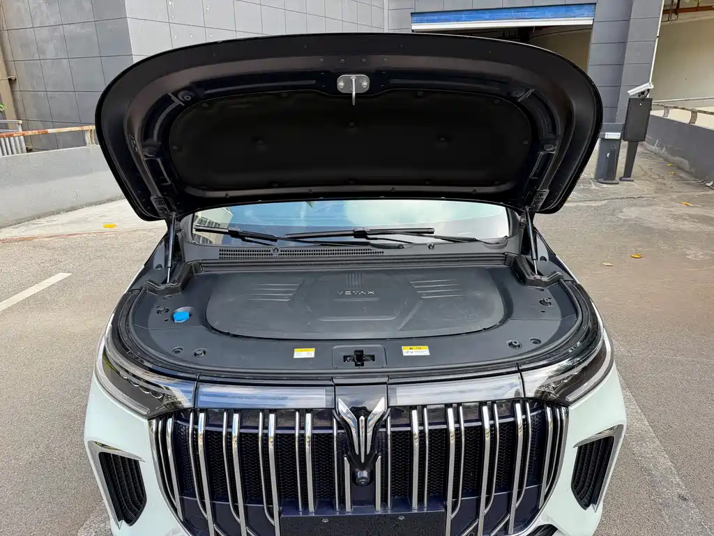 VOYAH Dreamer — миниатюра 17