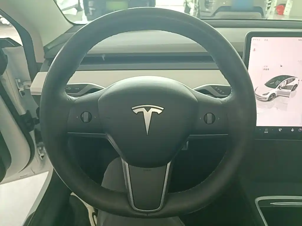 Tesla Model 3 2021 Performance