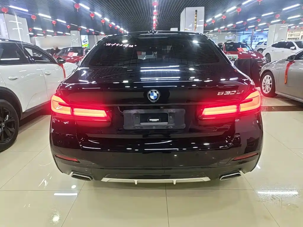BMW 5 Series — миниатюра 6