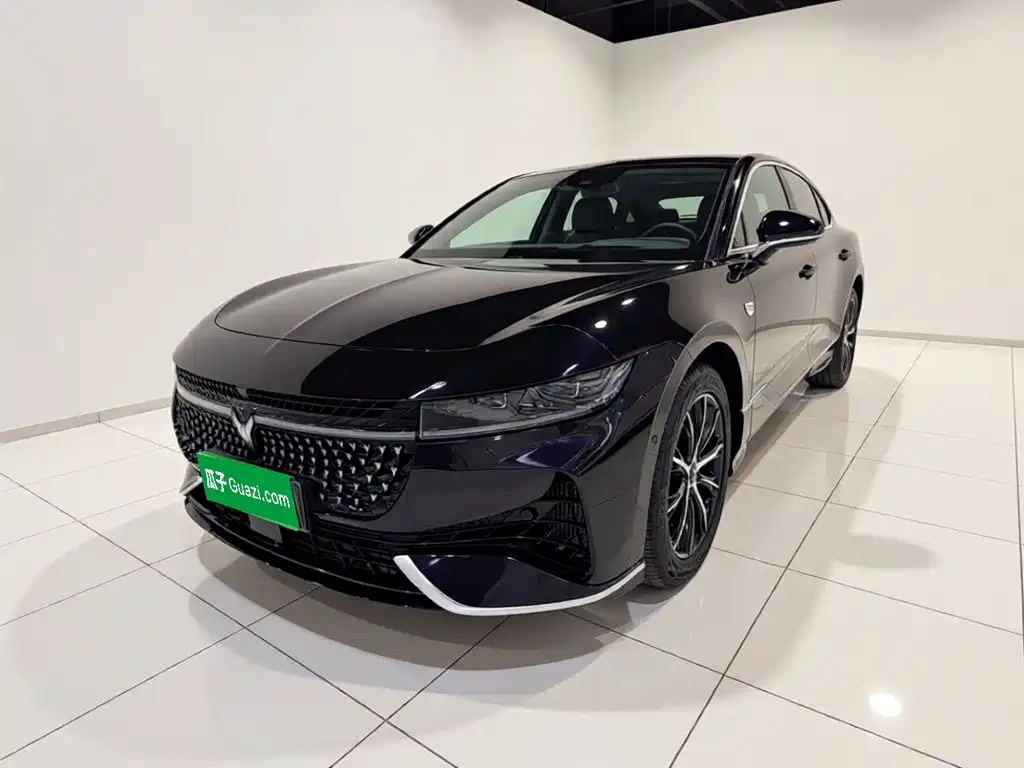 Voyah Passion 2024 PHEV Executive