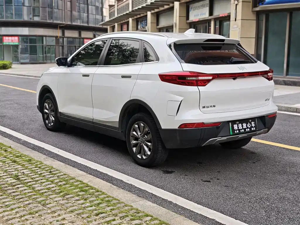 Weltmeister WEIMA EX5