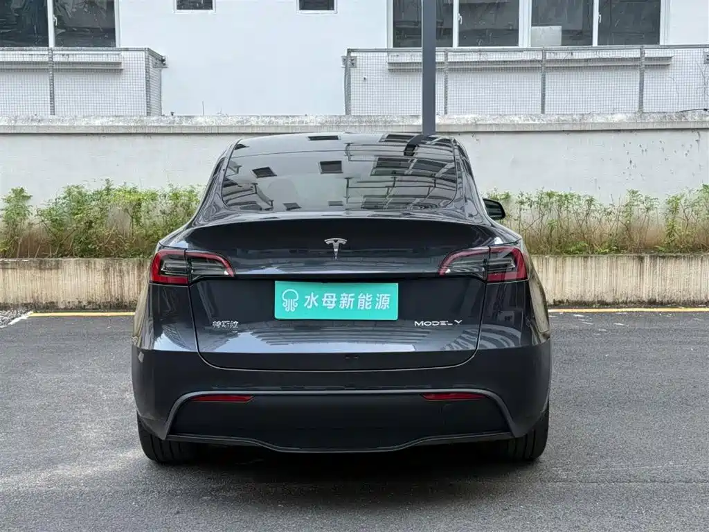 Tesla Model Y — миниатюра 7