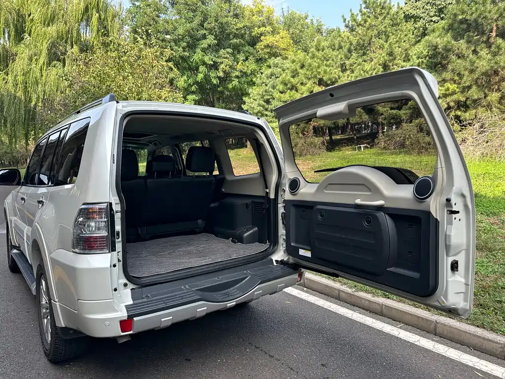 Mitsubishi Pajero (Import) — миниатюра 15