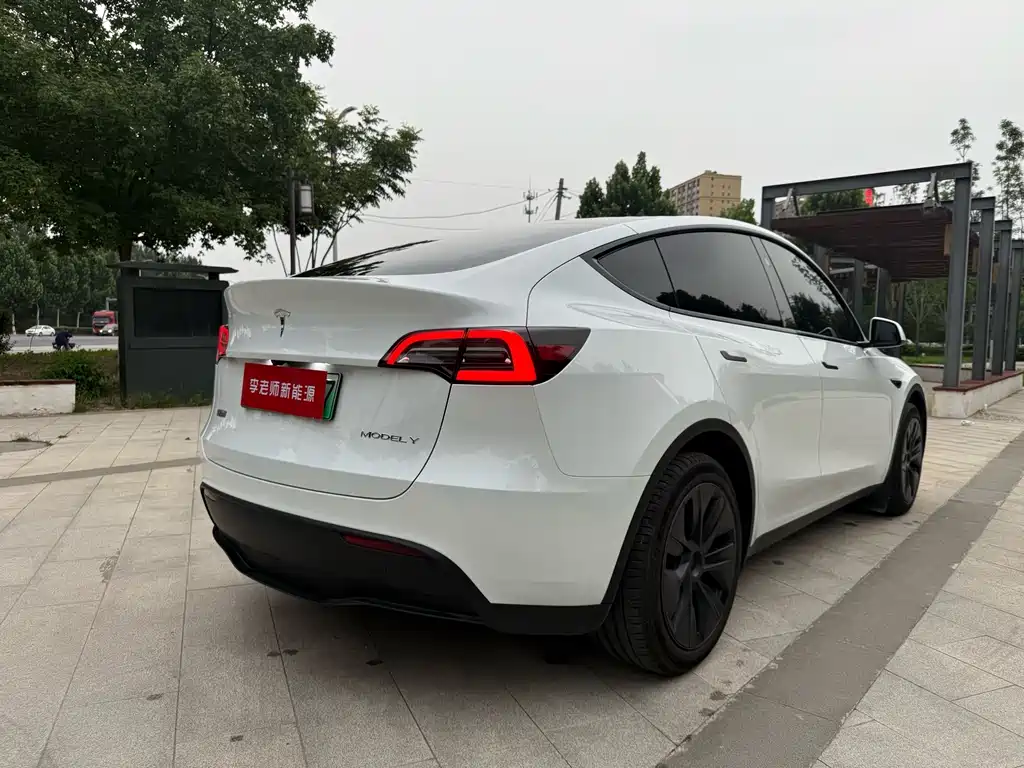 Tesla Model Y — миниатюра 6