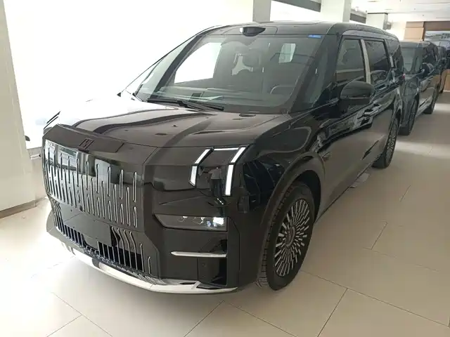 2025 Zeekr 009