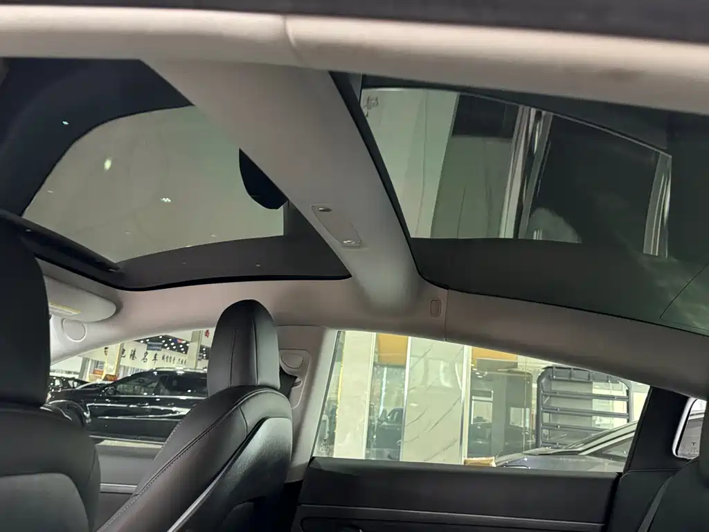 Tesla Model 3 — миниатюра 5