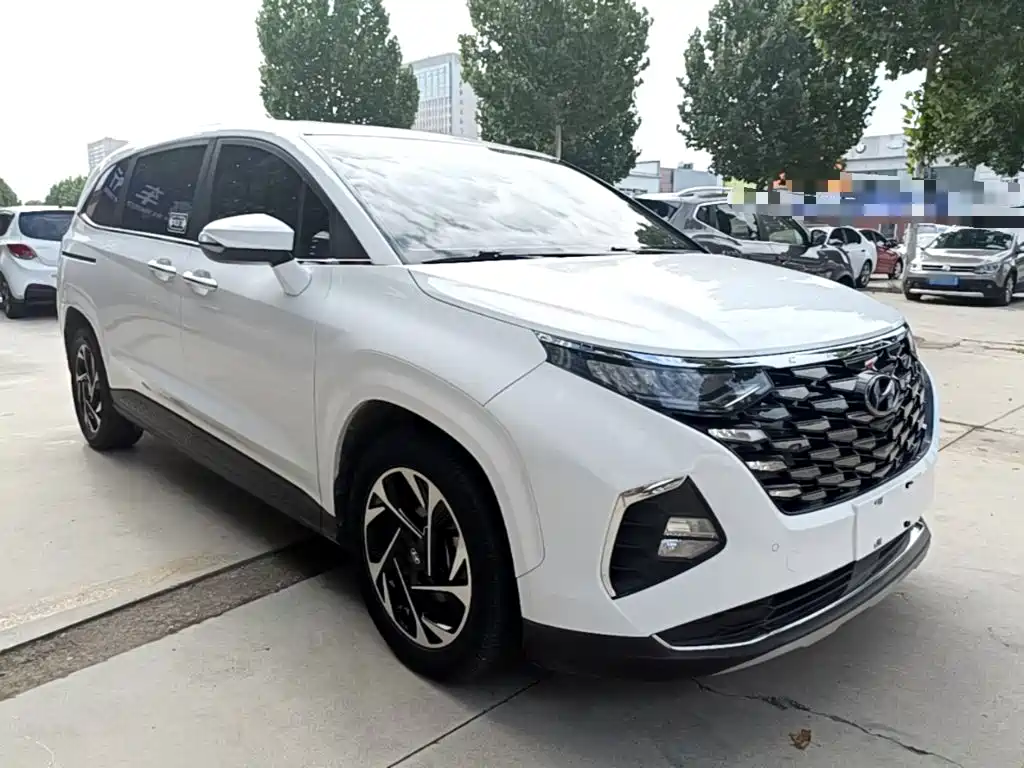 Hyundai Custo — миниатюра 4