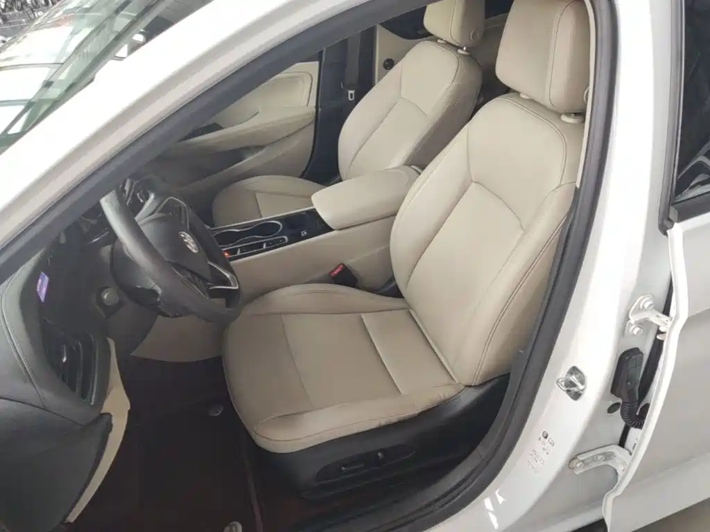 Buick Regal — миниатюра 15