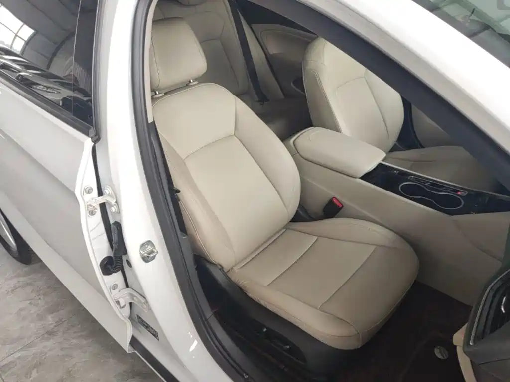 Buick Regal — миниатюра 25