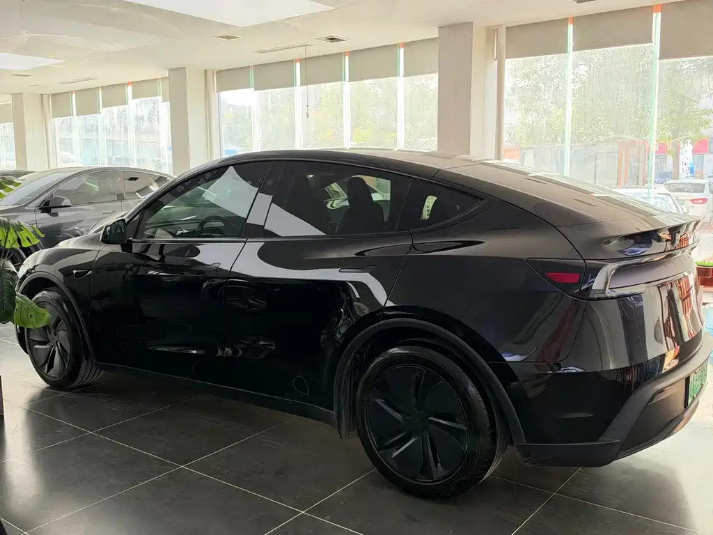 Tesla Model Y — миниатюра 4