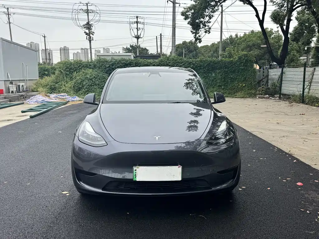Tesla Model Y — миниатюра 2