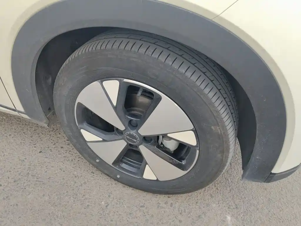 BYD Dolphin — миниатюра 24