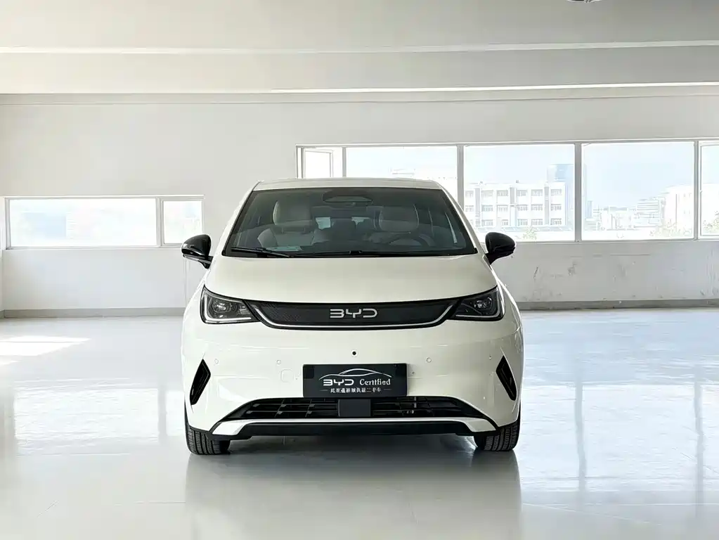 BYD Dolphin — миниатюра 2