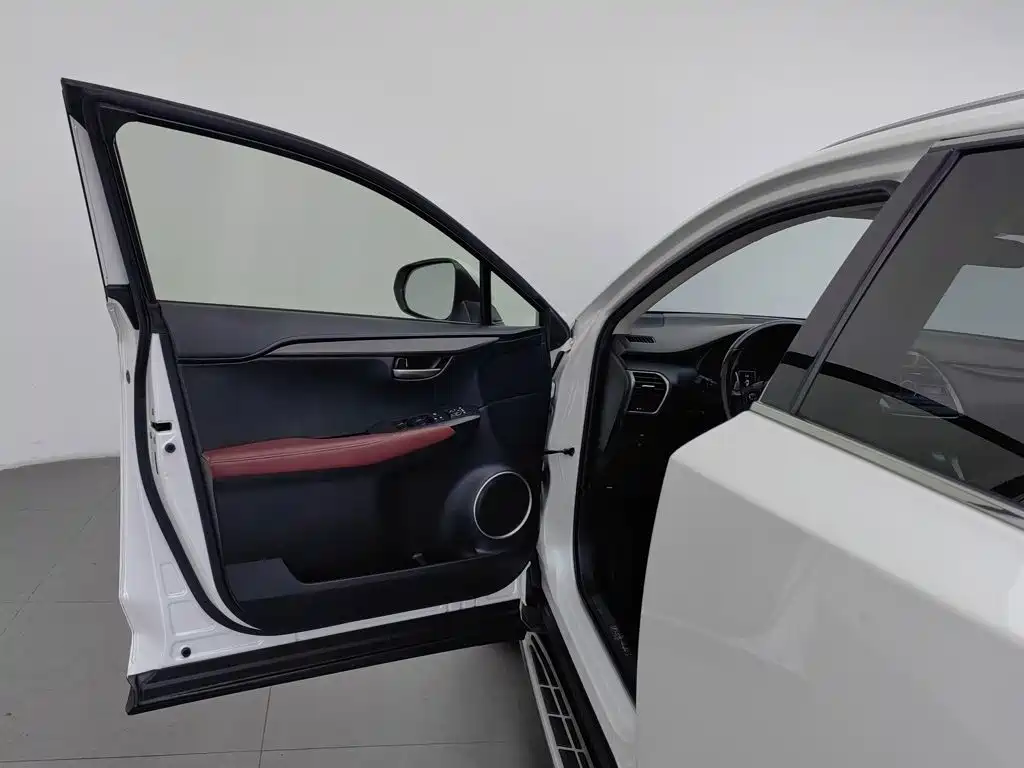 Lexus NX — миниатюра 8