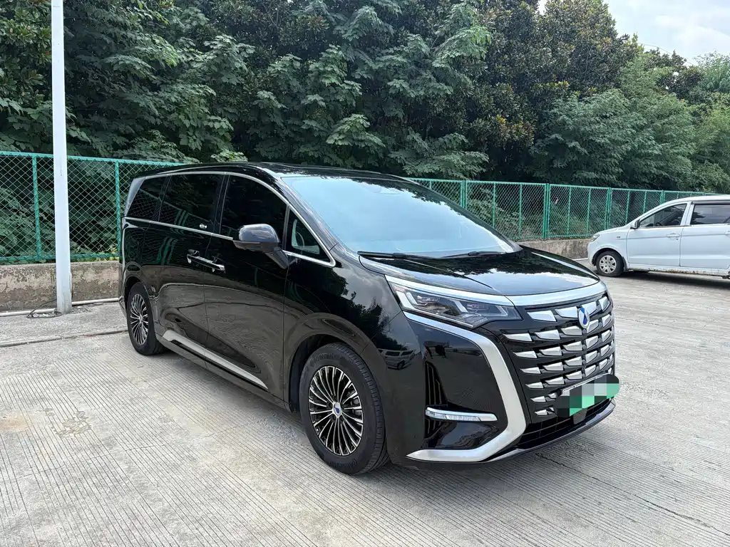 Denza Denza D9 — миниатюра 3