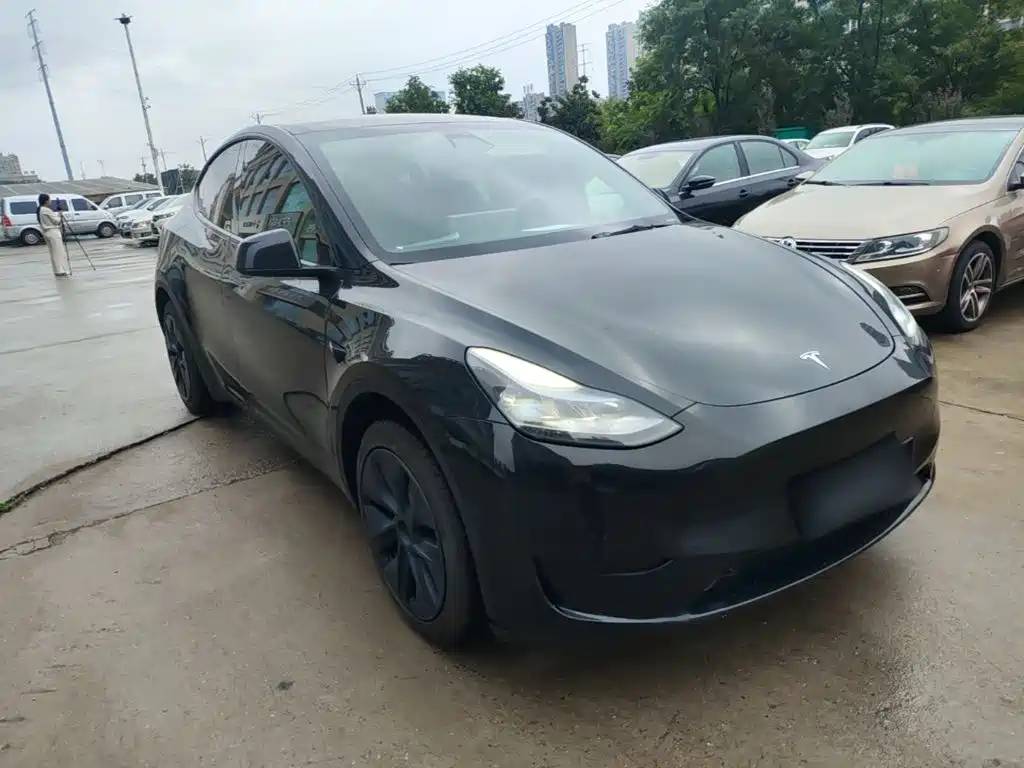 Tesla Model Y — миниатюра 4