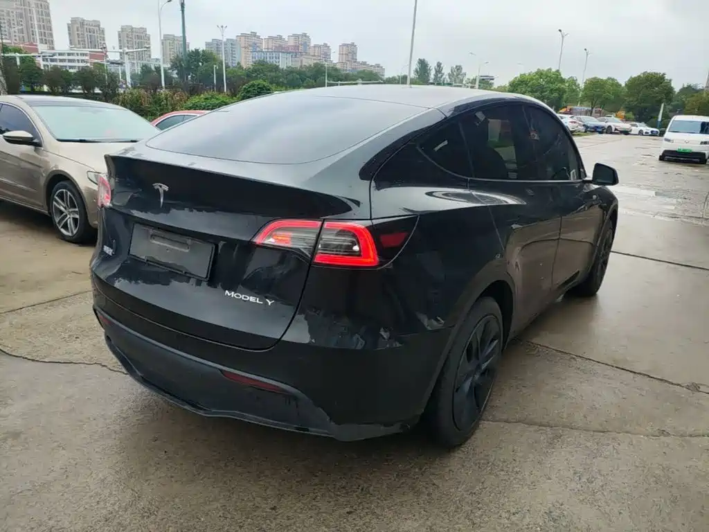 Tesla Model Y — миниатюра 7