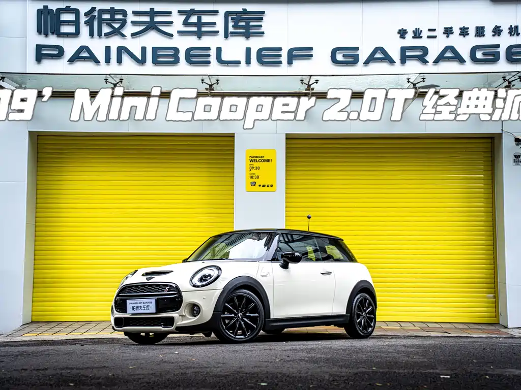 Mini Mini 2019