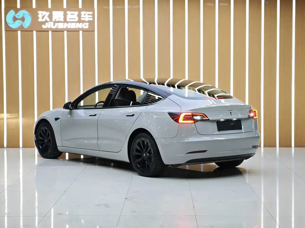 Tesla Model 3 — миниатюра 4
