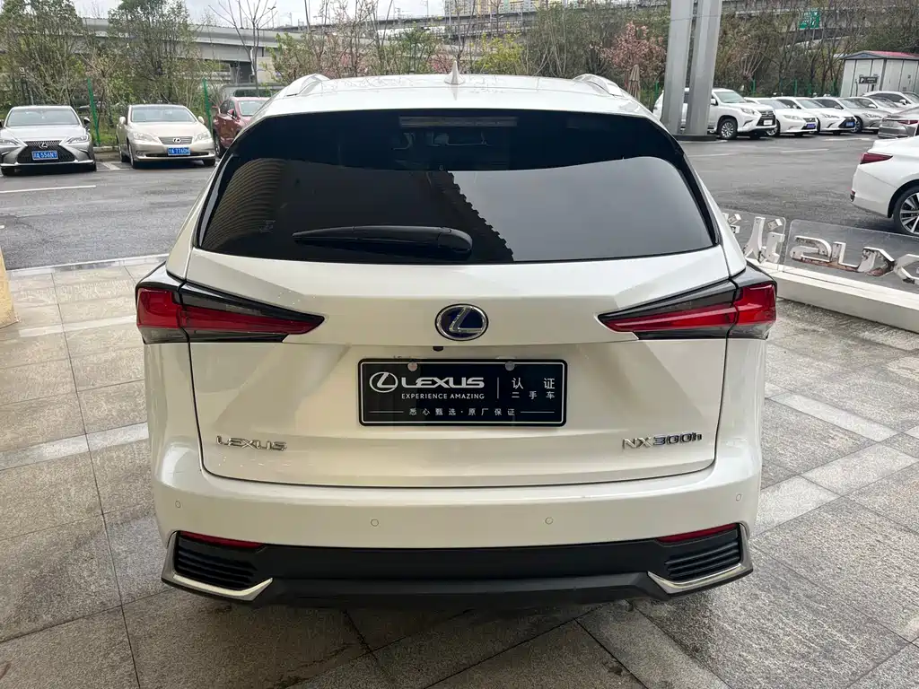 LEXUS NX