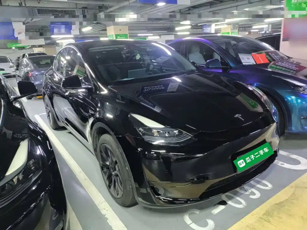 Tesla Model Y — миниатюра 4
