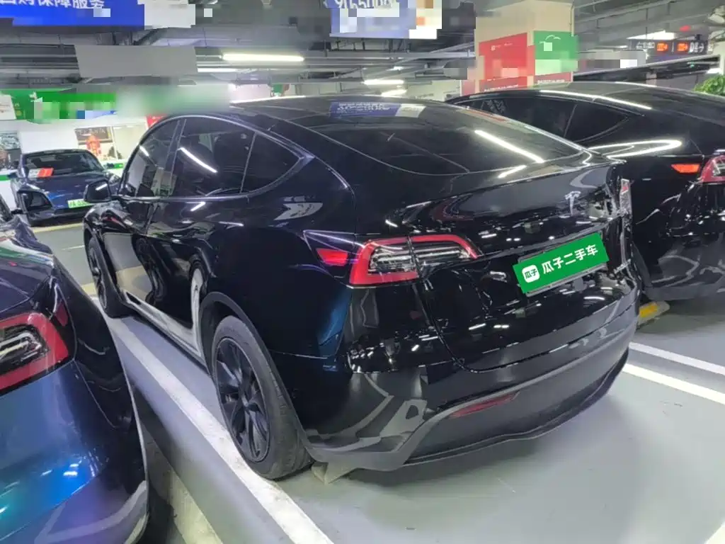 Tesla Model Y — миниатюра 5