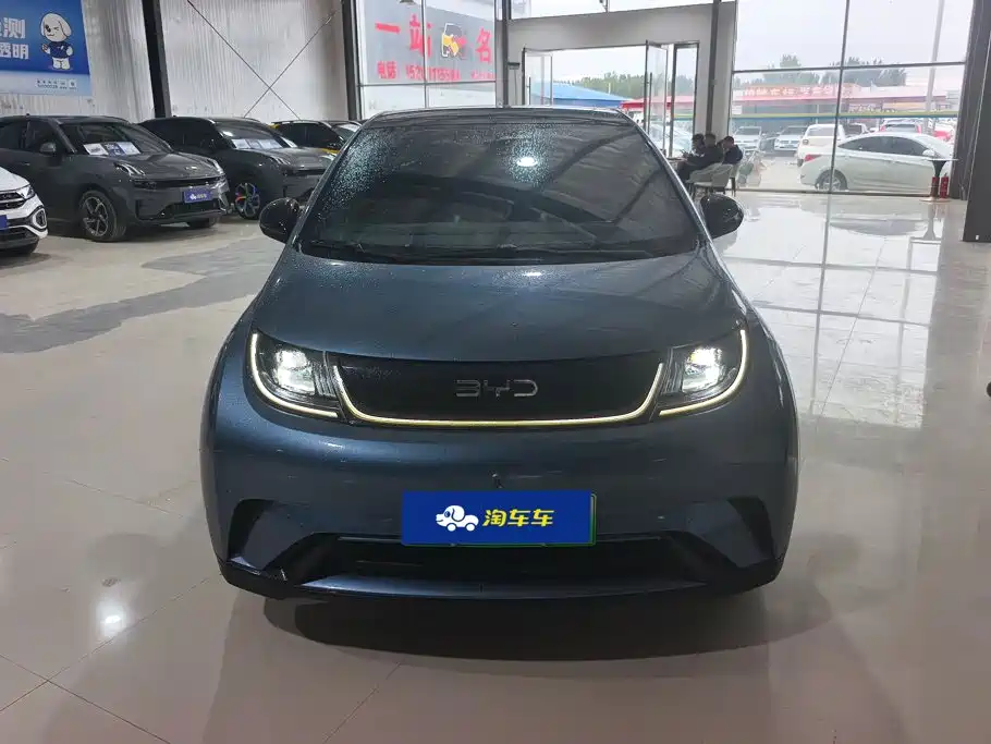 BYD Dolphin — миниатюра 2