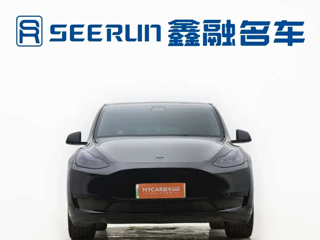 Tesla Model Y — миниатюра 19