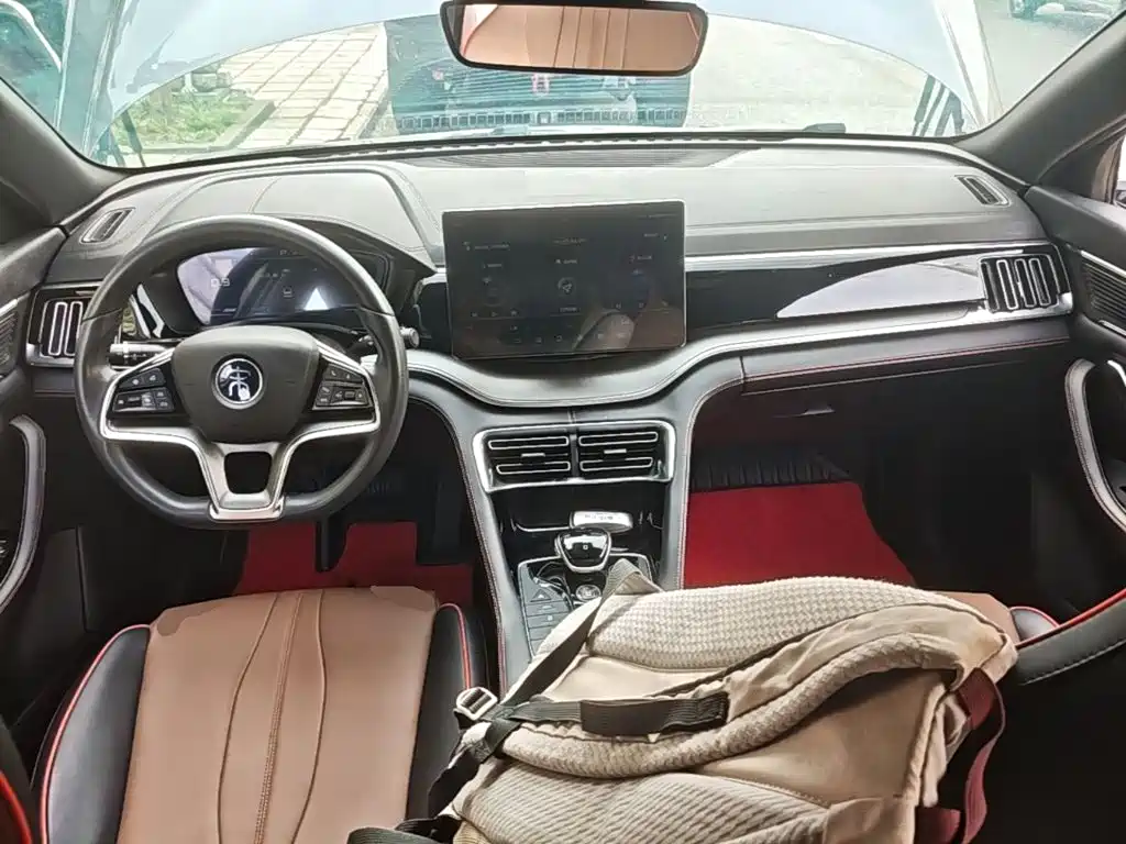 BYD PLUS — миниатюра 10