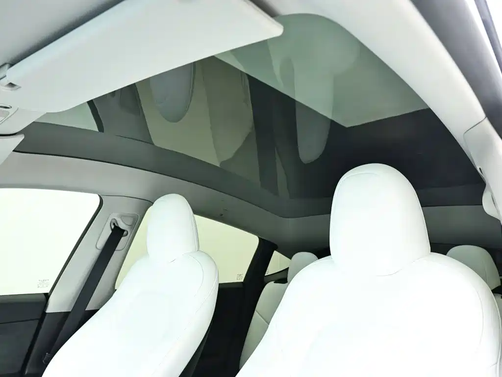 Tesla Model Y — миниатюра 13