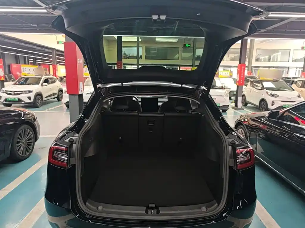 Tesla Model Y — миниатюра 19