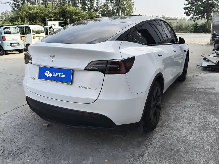 Tesla Model Y — миниатюра 3