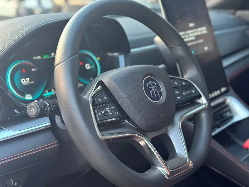 BYD PLUS — миниатюра 15