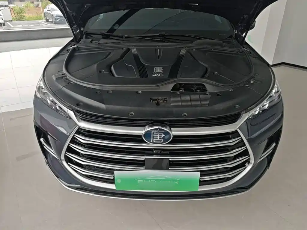BYD Tang New Energy — миниатюра 20
