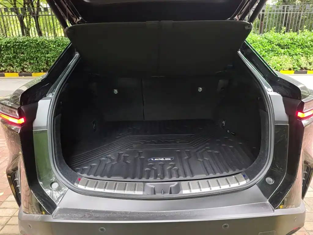Lexus RZ — миниатюра 19