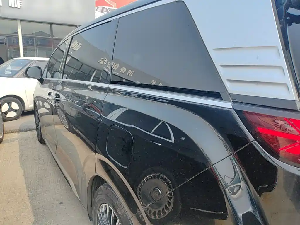 Denza Denza D9 — миниатюра 5