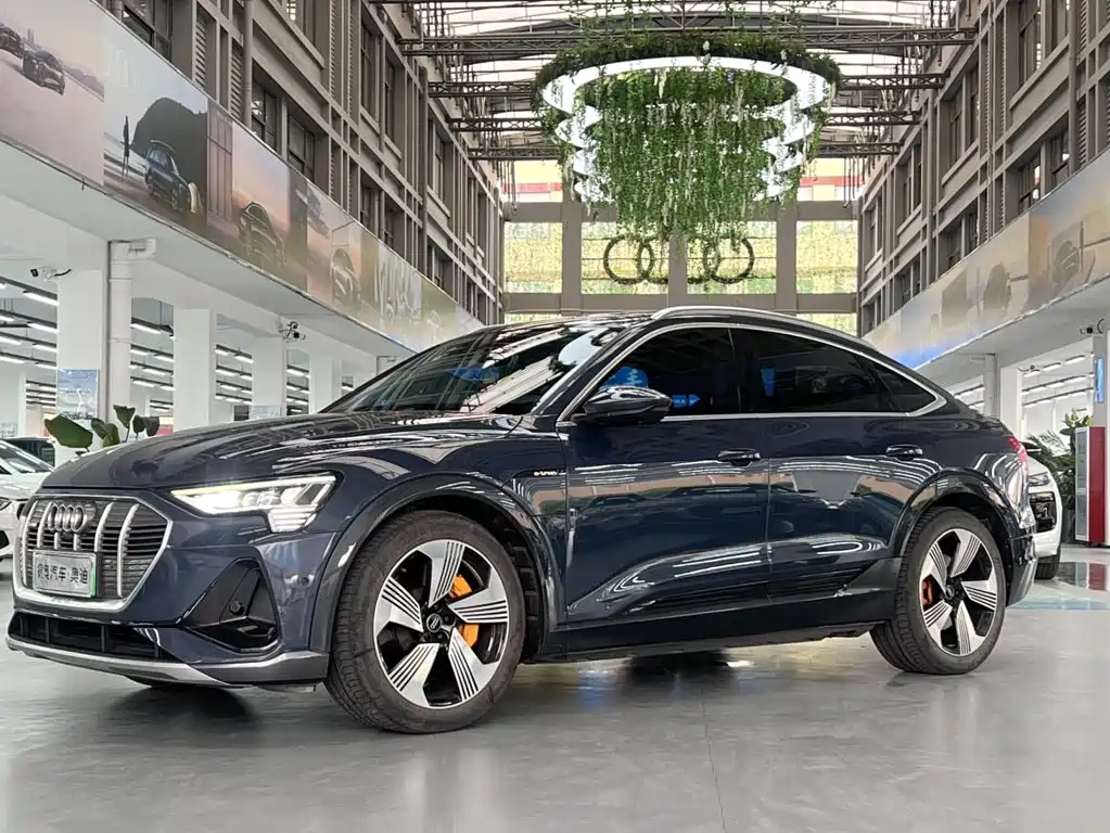 Audi E-tron (Import)