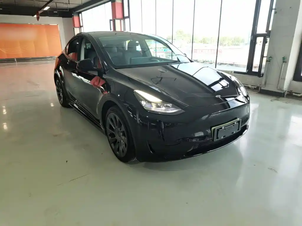 Tesla Model Y — миниатюра 4