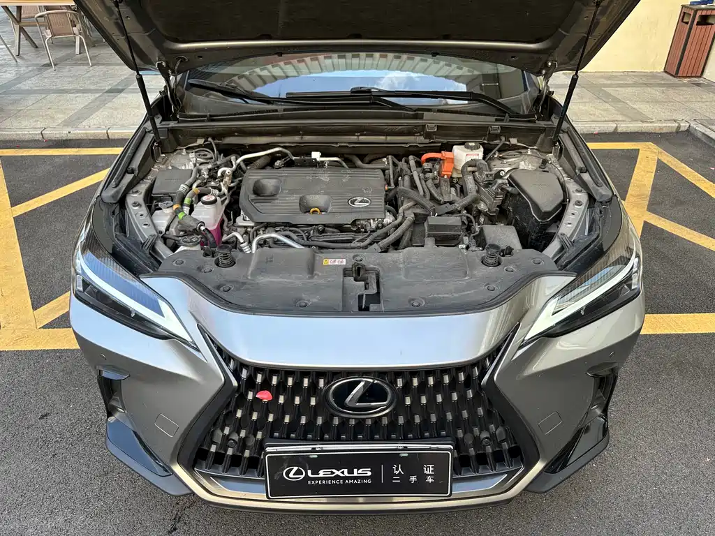 Lexus NX New Energy — миниатюра 4