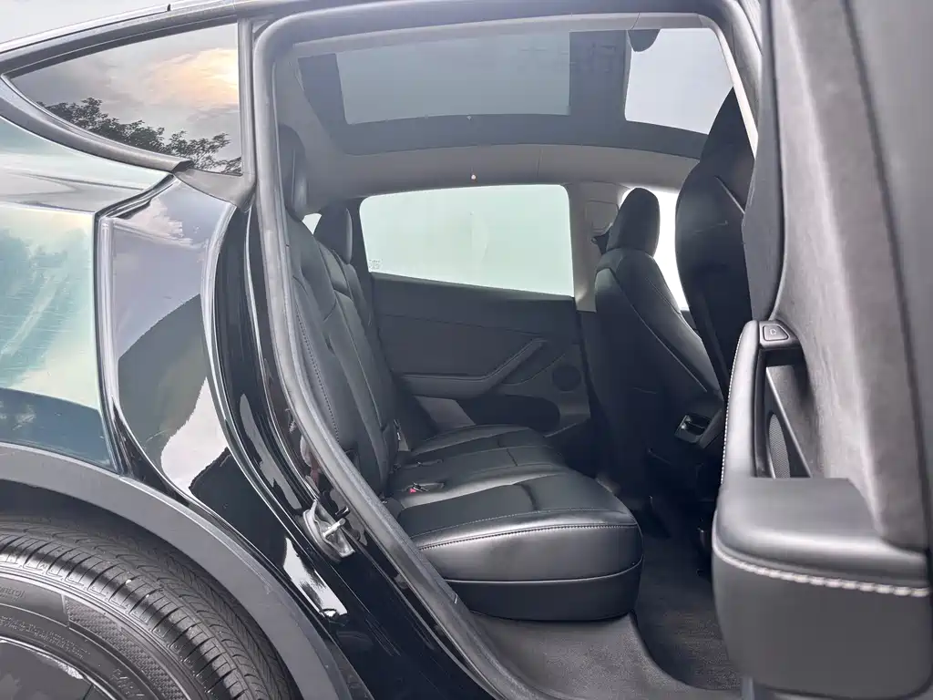 Tesla Model Y — миниатюра 8