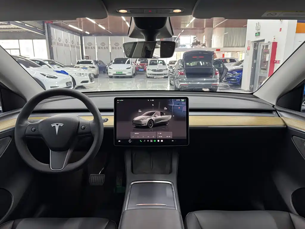 Tesla Model Y — миниатюра 13
