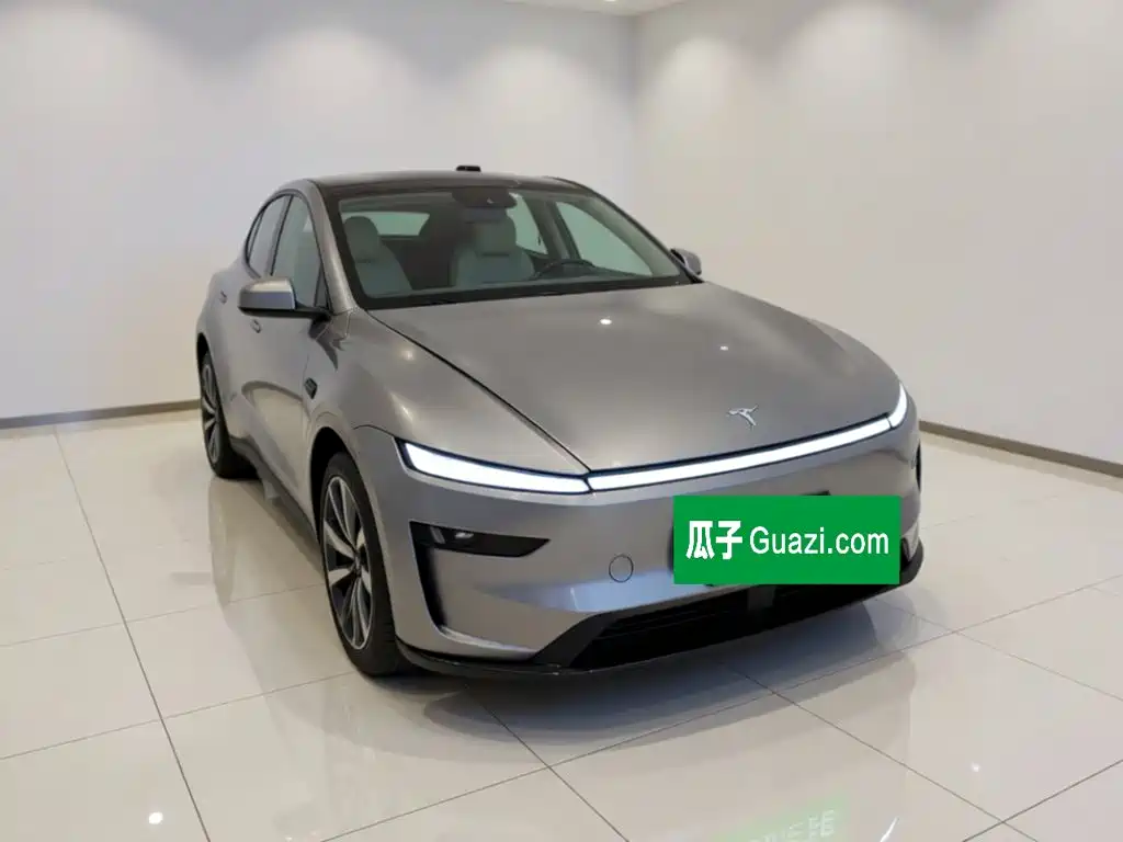 Tesla Model Y — миниатюра 24