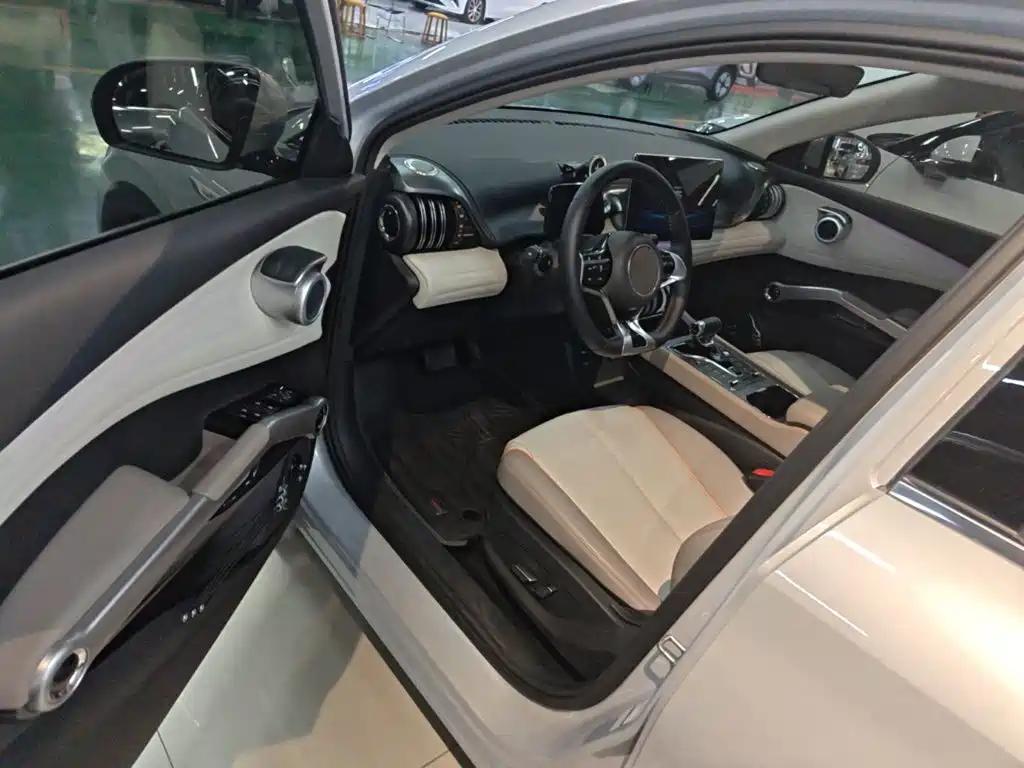 BYD Yuan Plus — миниатюра 16