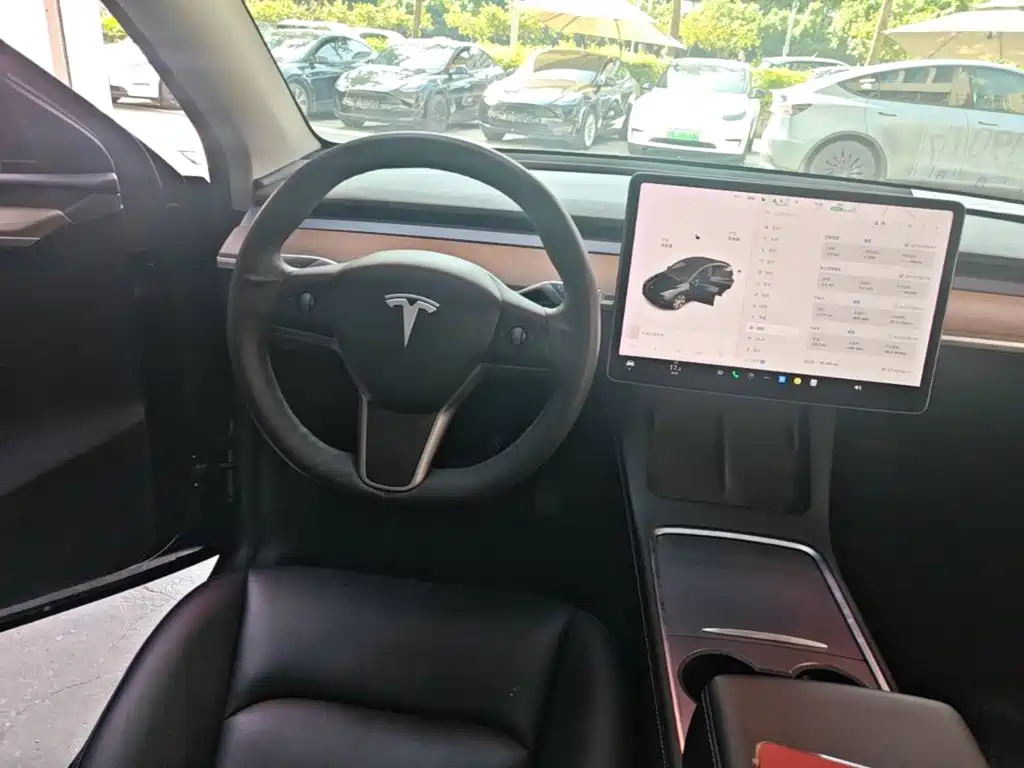 Tesla Model Y — миниатюра 11