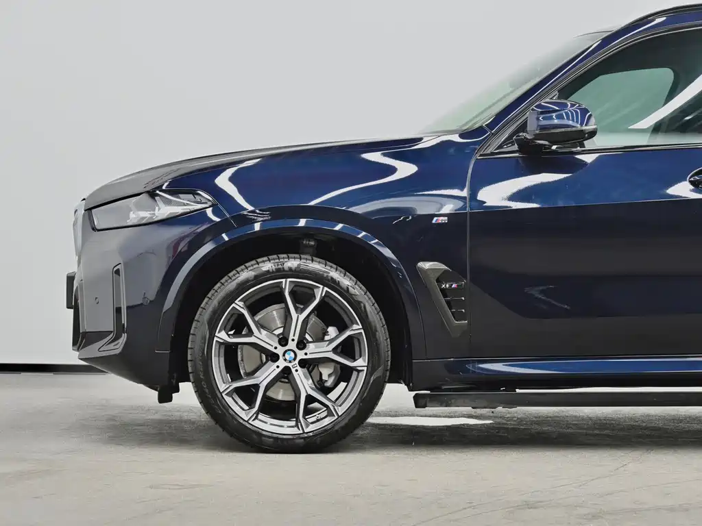 BMW X5 — миниатюра 24
