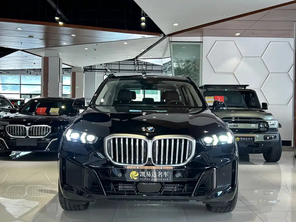 BMW X5 — миниатюра 3