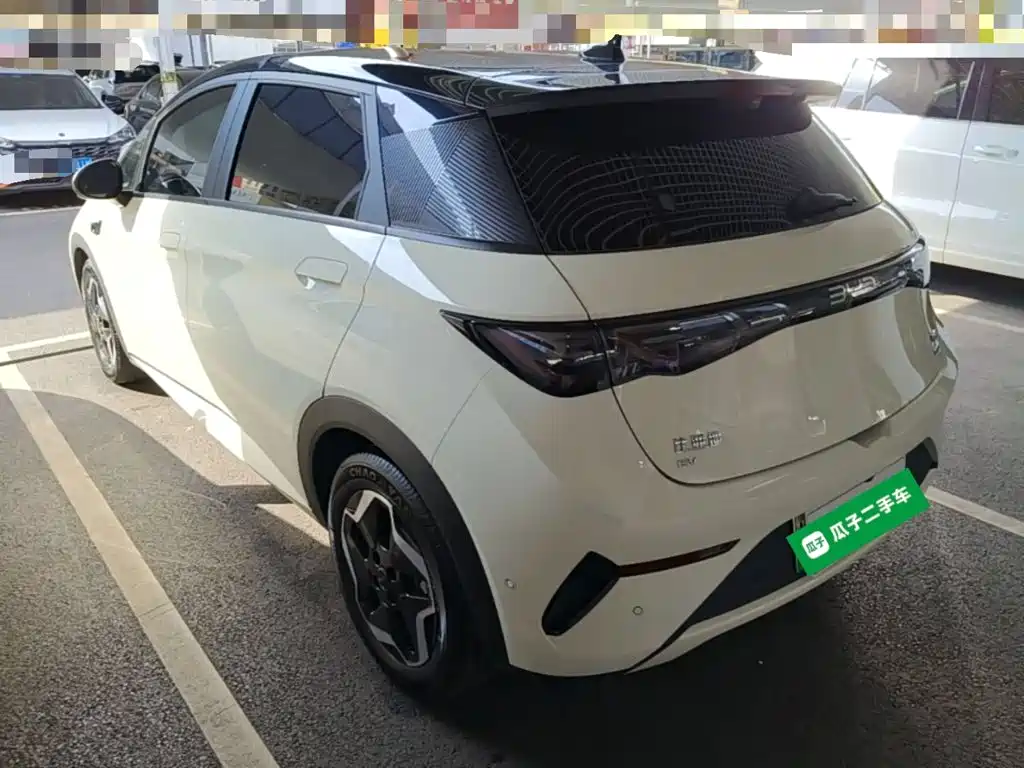 BYD Dolphin — миниатюра 5