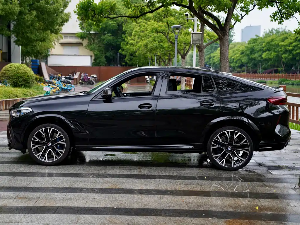 BMW X6 M — миниатюра 5