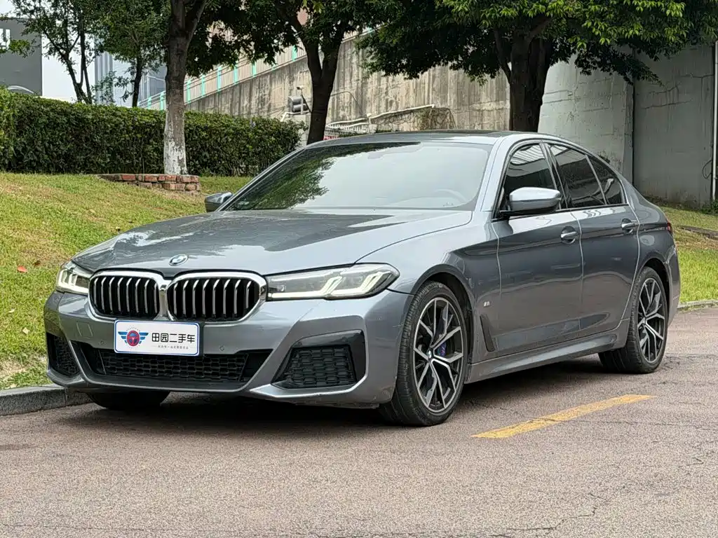 BMW 5 Series (Import)