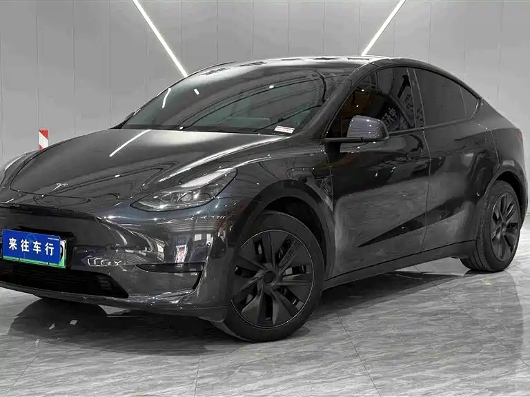 Tesla Model Y — миниатюра 2